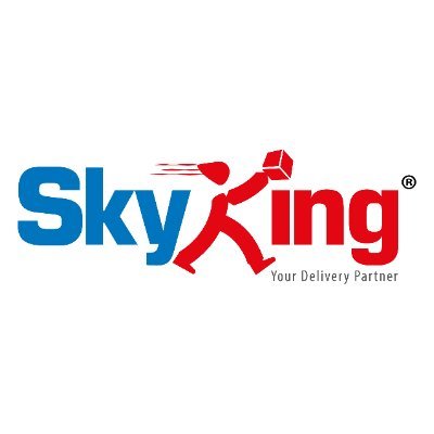 SkyKing