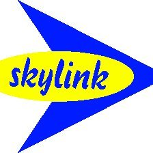 Skylink Services