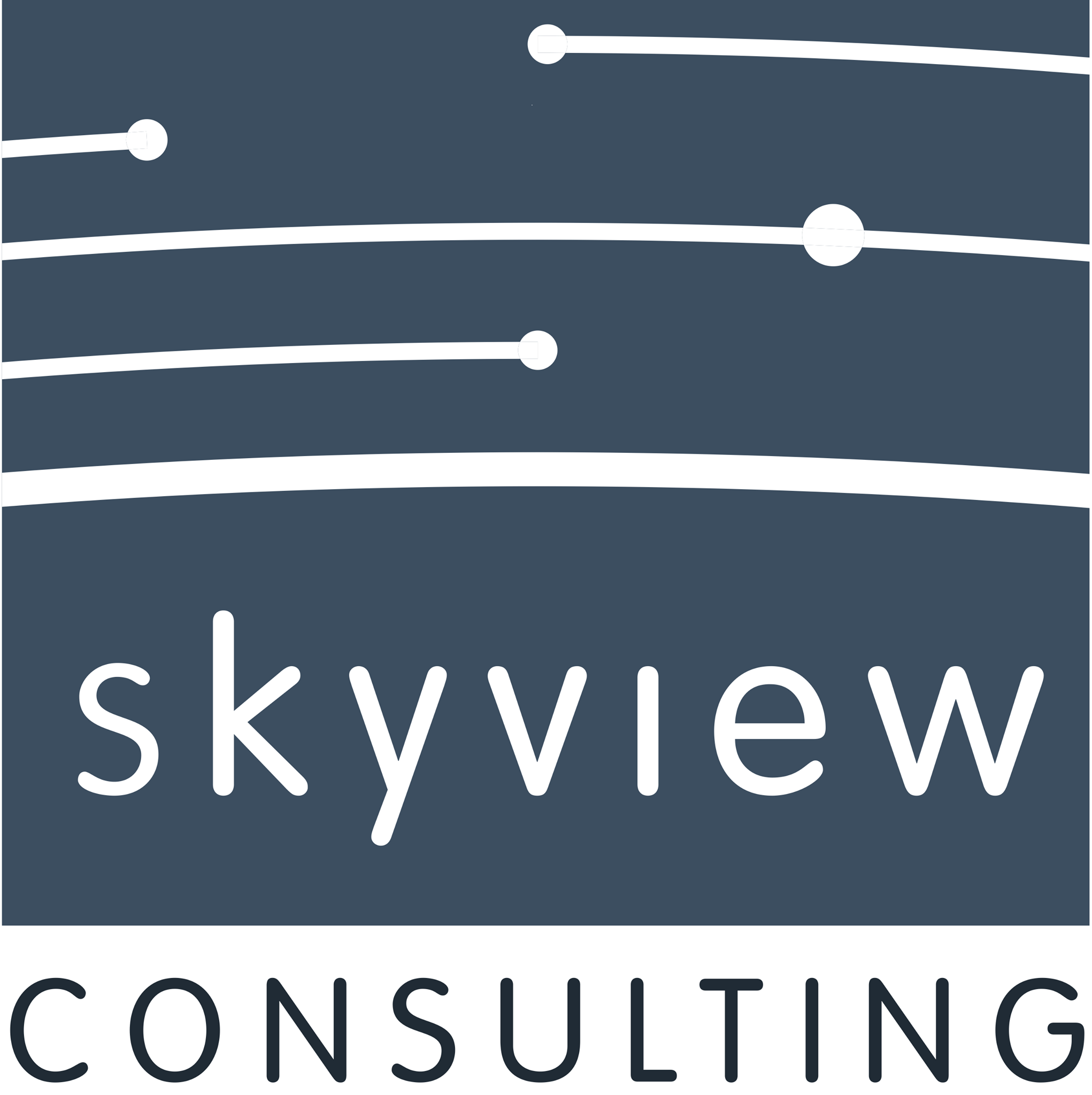 Skyview Consulting