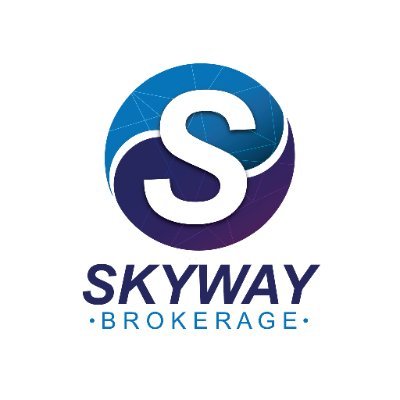 Skyway Holdings