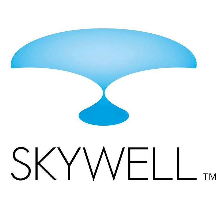 Skywell