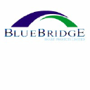 BLUEBRIDGE SMART PROJECTS