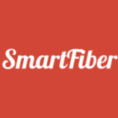 Smart Fiber Optics