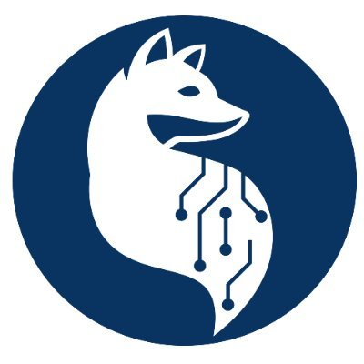 Snow Fox Data, a Division of Excelion Partners