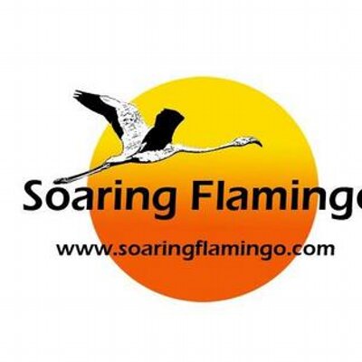 Soaring Flamingo