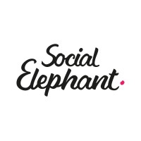 Social Elephant