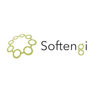 Softengi