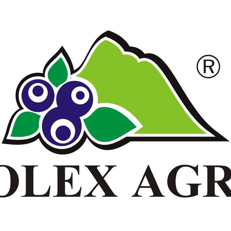 Solex Agro