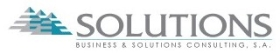 Business & Solutions Consulting