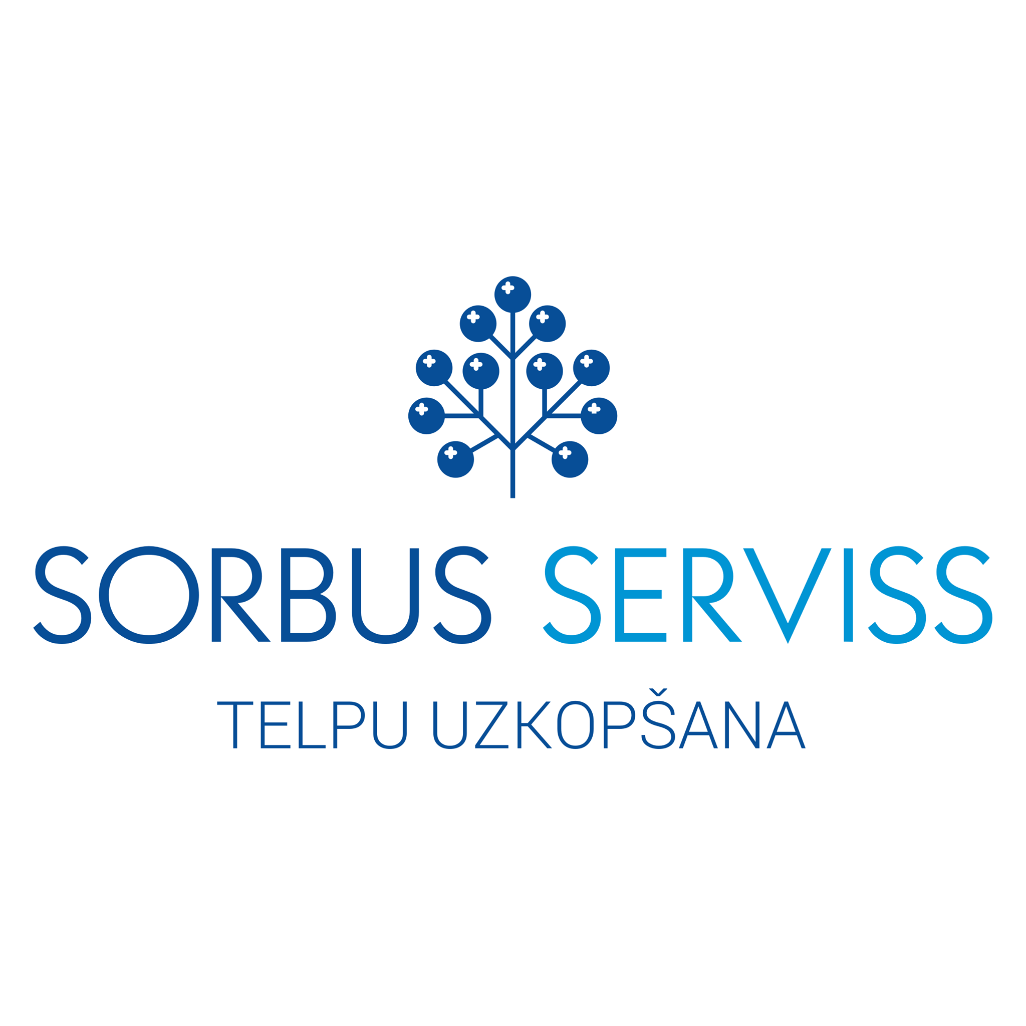 Sorbus serviss SIA