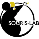 Souris Lab