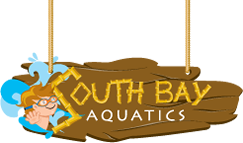 SOUTH BAY AQUATICS