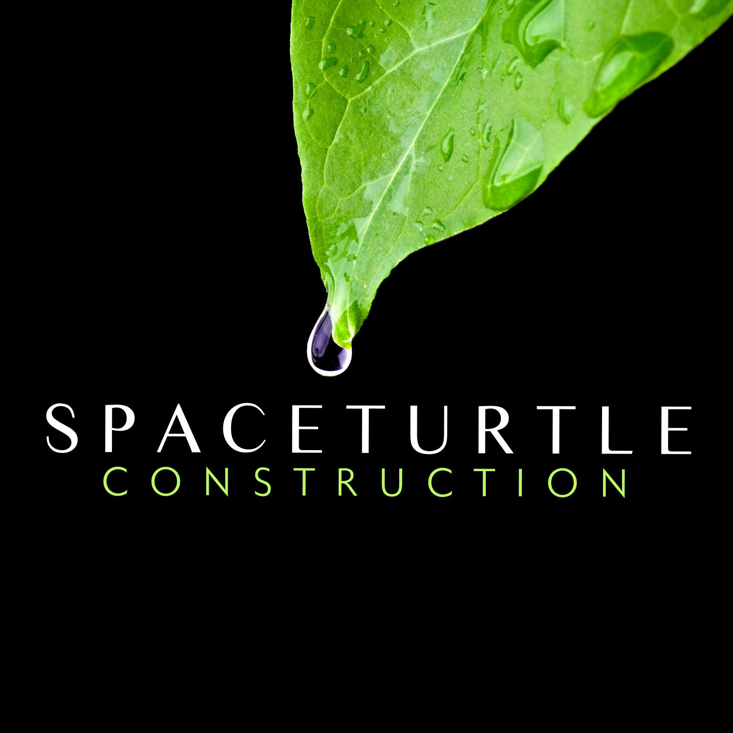 Space Turtle Construction