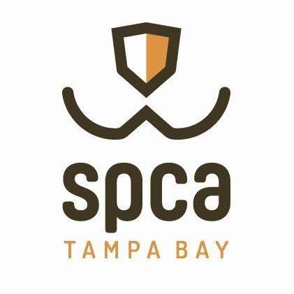 Spca Tampa Bay