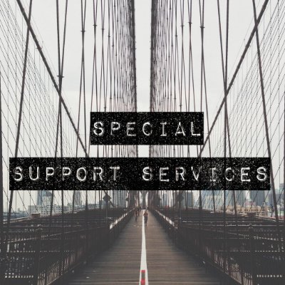 Special Support Services