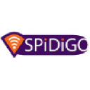 Spidigo