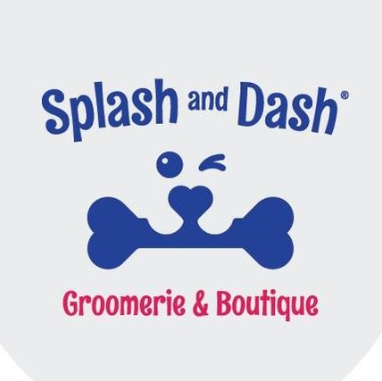 Splash and Dash for Dogs