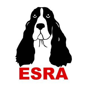 English Springer Rescue America