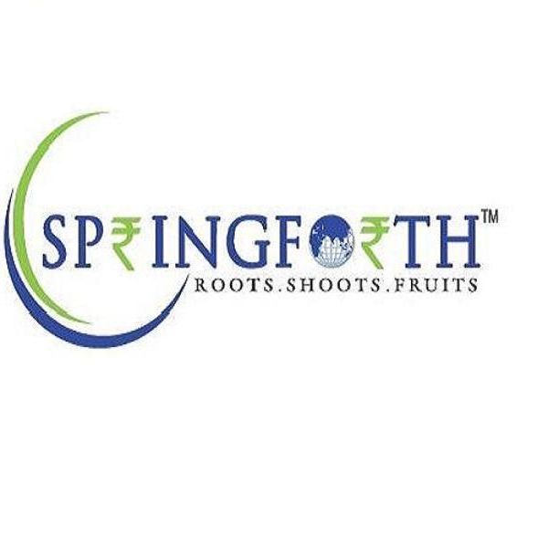 Springforth Capital