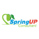 Spring Up Consultant