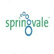 Springvale EPS