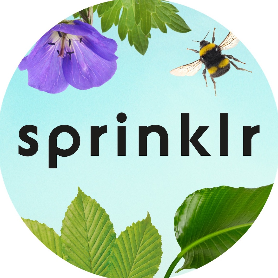 Sprinklr.Co