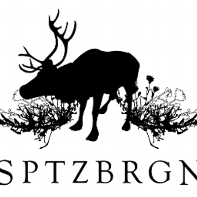 Sptzbrgn As