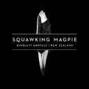 Squawking Magpie