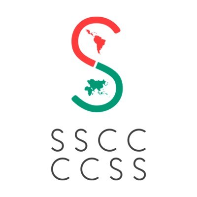 South South Cooperation Council