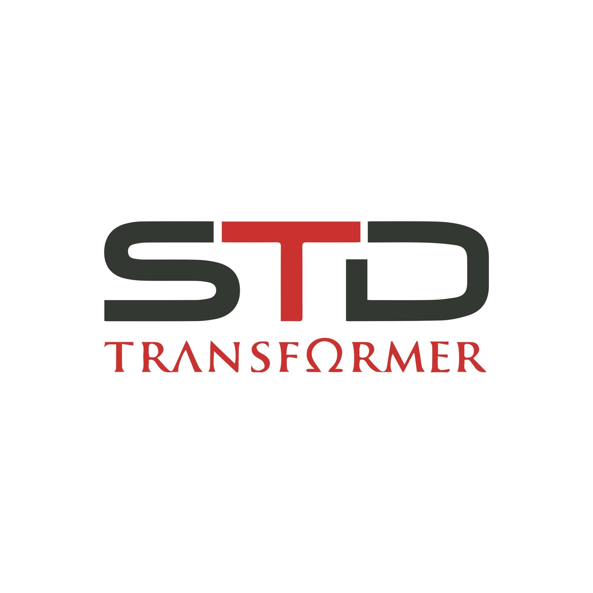 STD Transformer