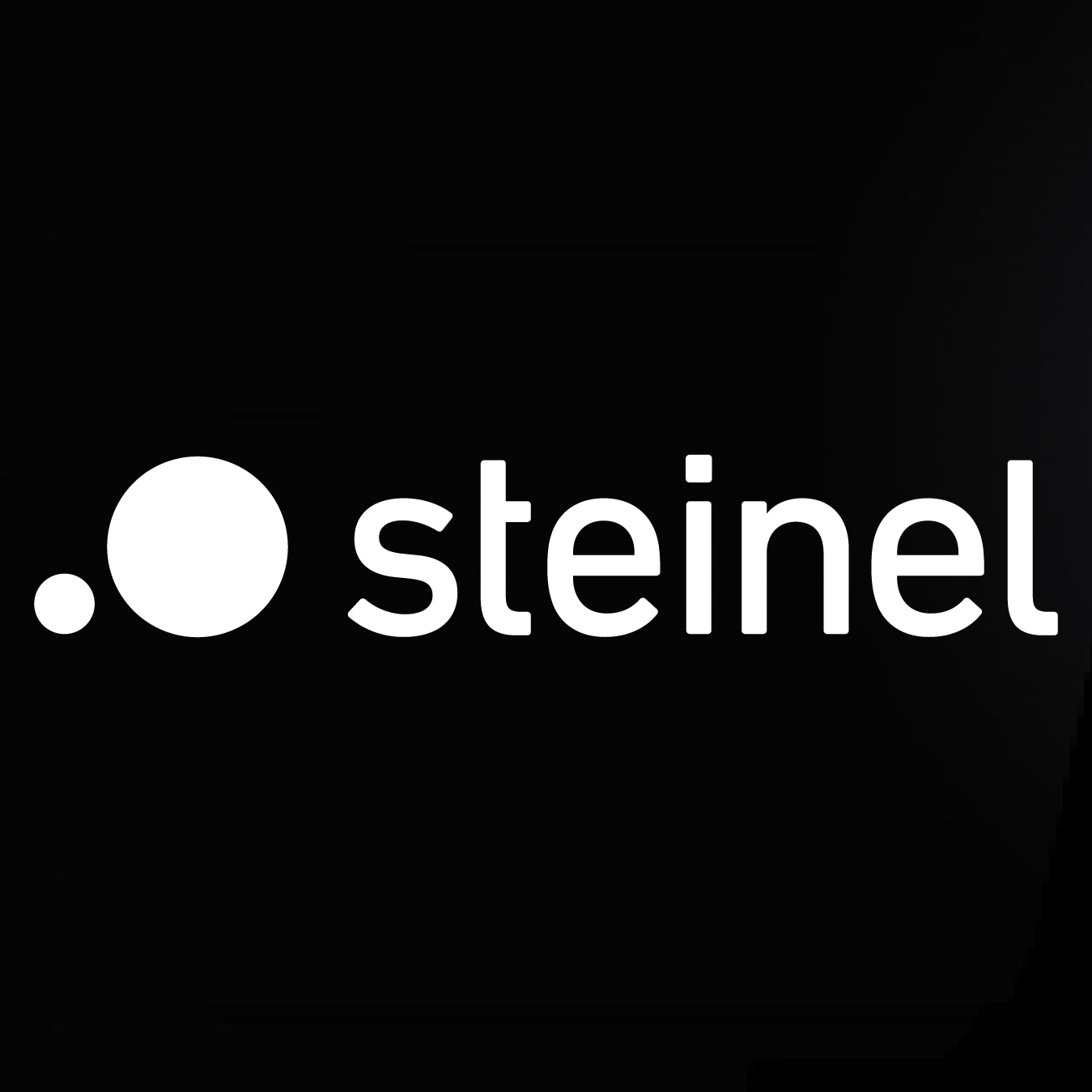 STEINEL ELECTRONIC