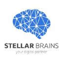 Stellar Brains