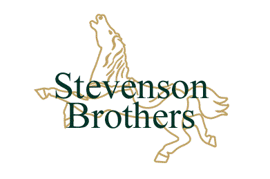 Stevenson Brothers Rocking Horses