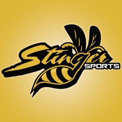 Stinger Sports