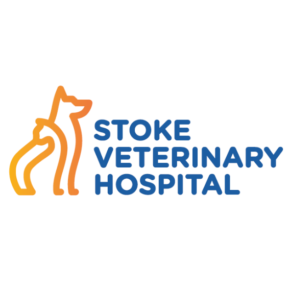 Stoke Veterinary Hospital NZ