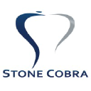 Stone Cobra