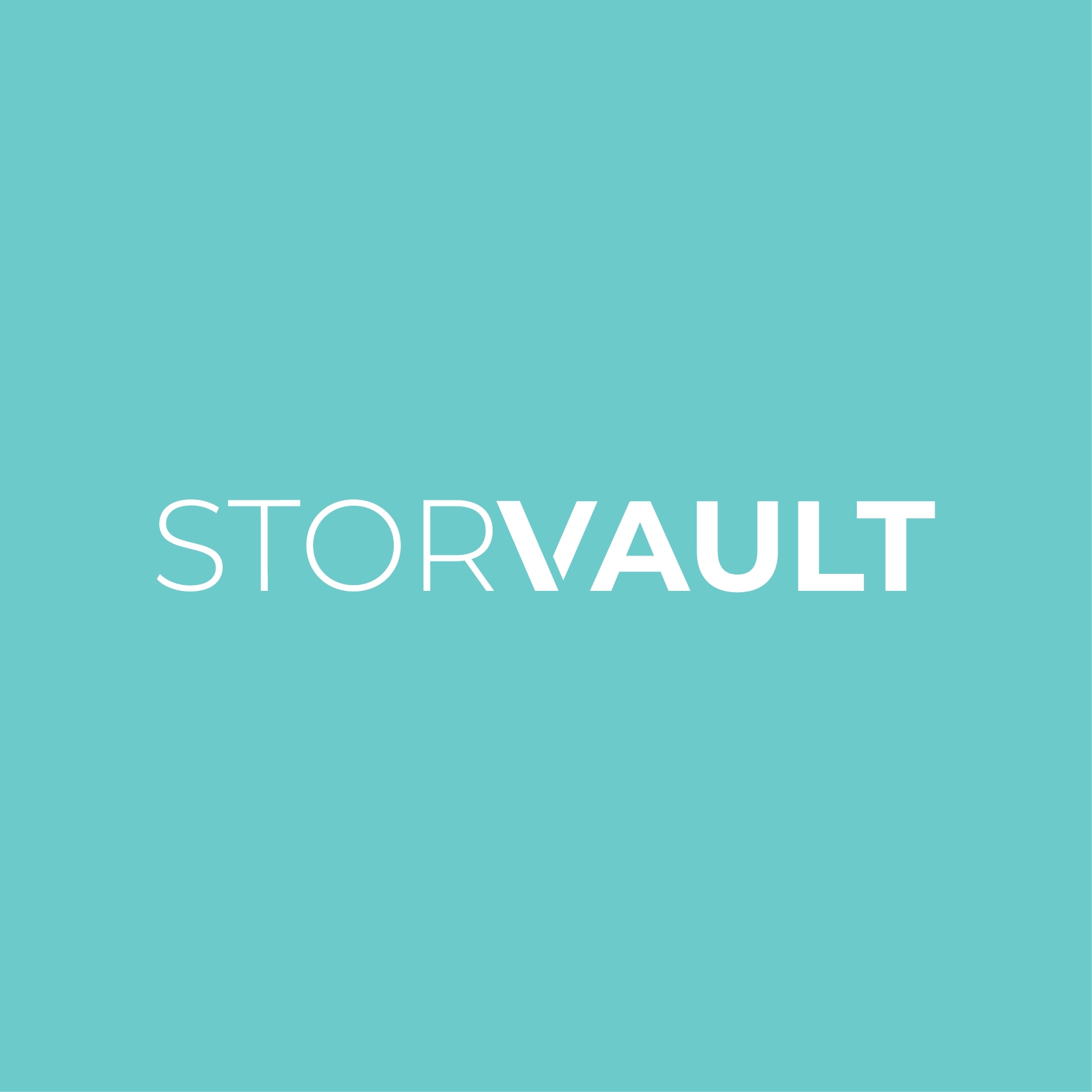 StorVault