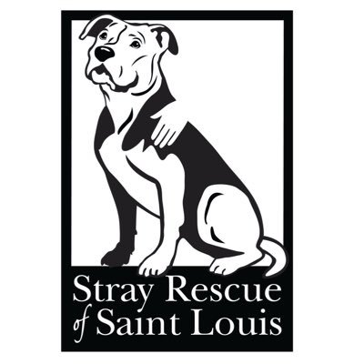 Stray Rescue