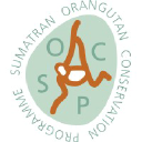 Sumatran Orangutan Conservation Programme