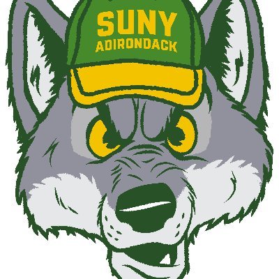 Adirondack Community College