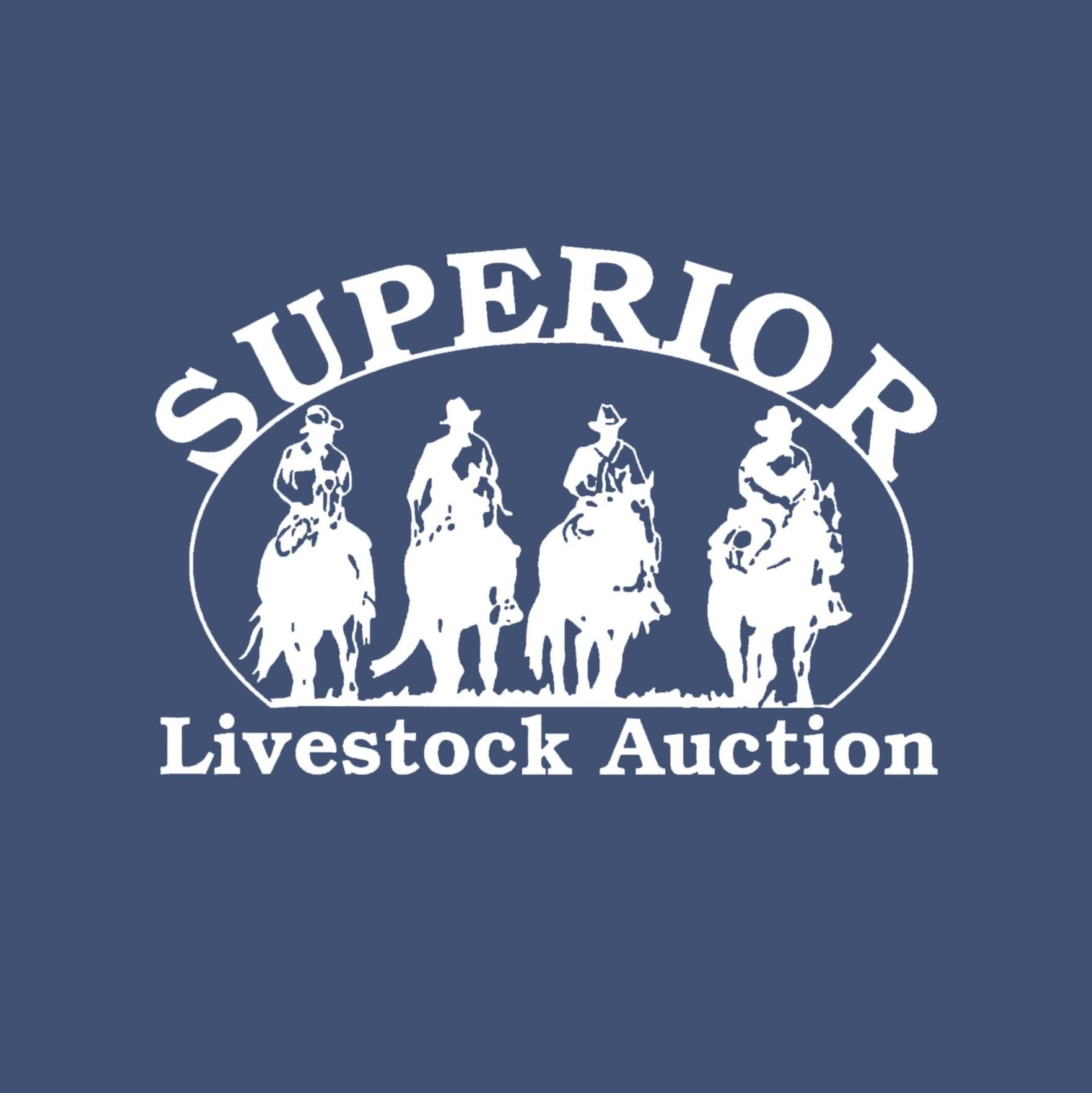 Superior Livestock Auction