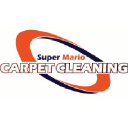 Super Mario Carpet Cleaning