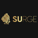 Surge Digital Agency