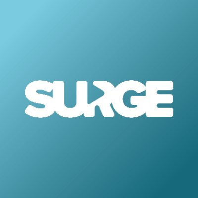 Surge Marketing Solutions