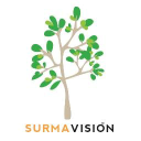 Surmavision