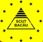 Scut