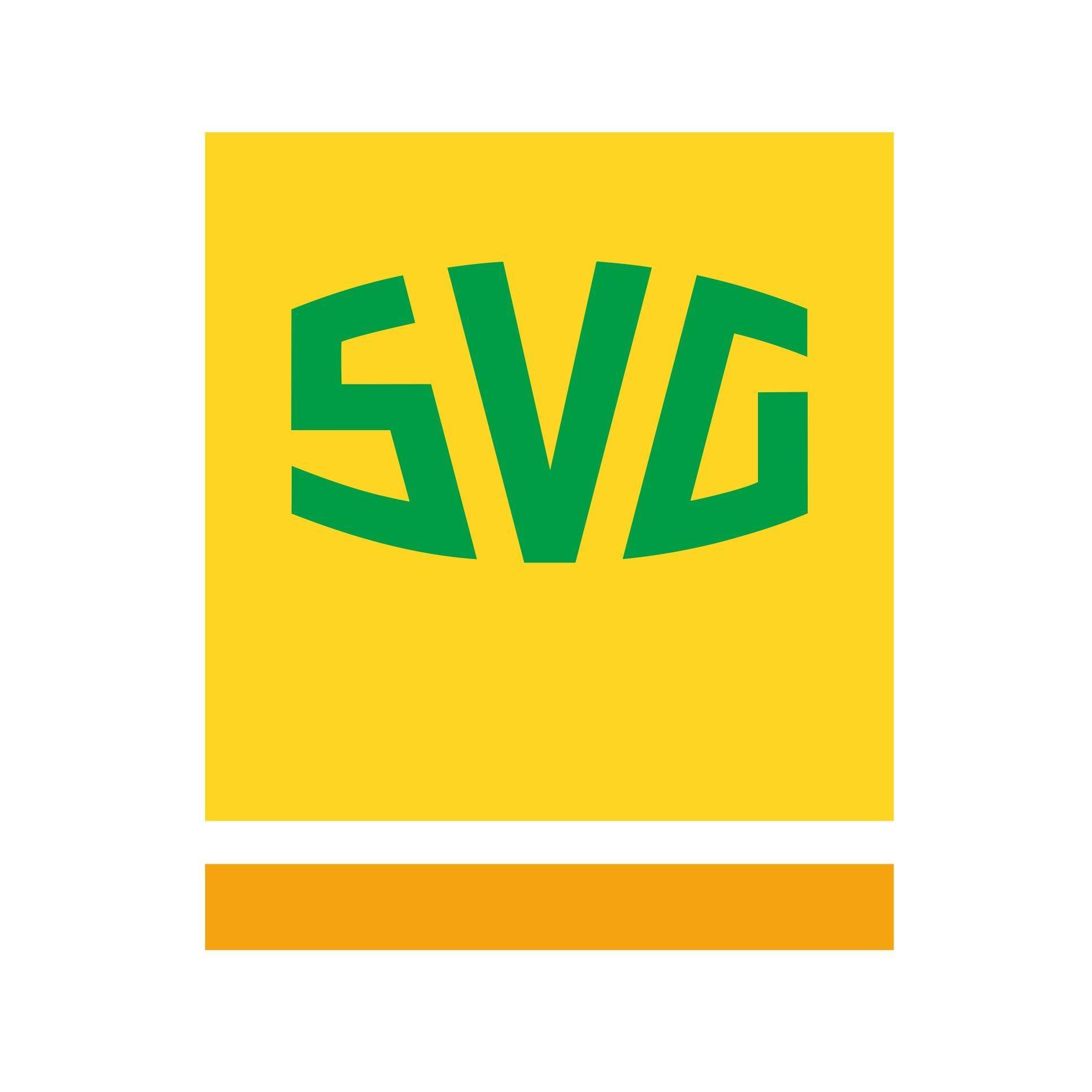 SVG Bundes-Zentralgenossenschaft Straßenverkehr eG