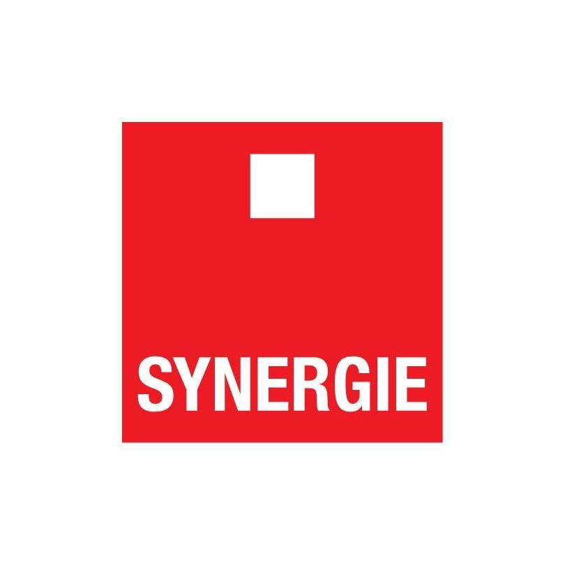 Synergie Czech&Slovak