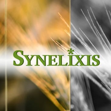 Synelixis Solutions