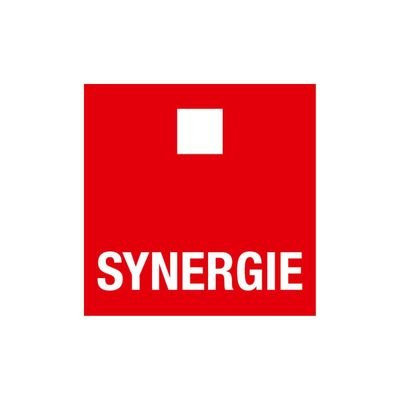 Synergie Italia Agenzia per il Lavoro S.p.a